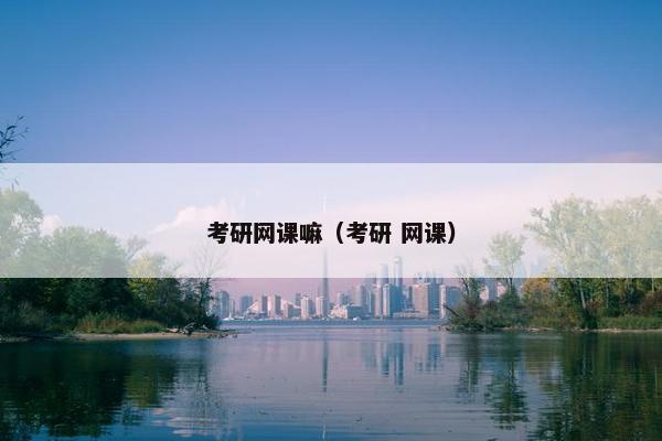 考研网课嘛（考研 网课）