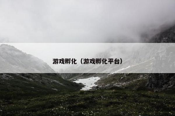 游戏孵化（游戏孵化平台）