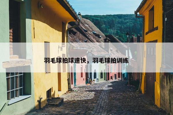 羽毛球拍球速快，羽毛球拍训练