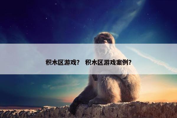 积木区游戏？ 积木区游戏案例？