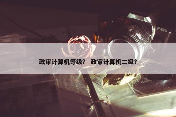 政审计算机等级？ 政审计算机二级？