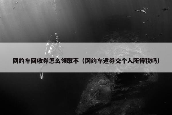 网约车回收券怎么领取不（网约车返券交个人所得税吗）