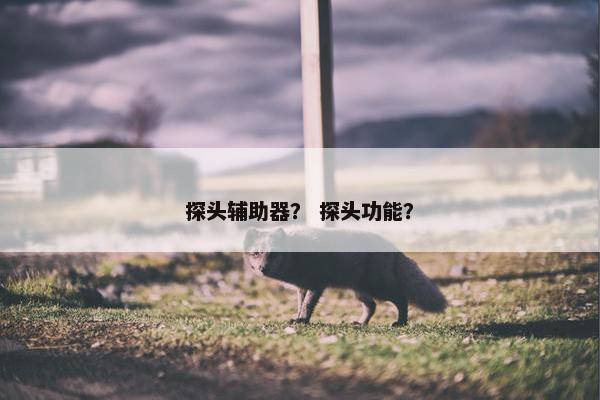 探头辅助器？ 探头功能？