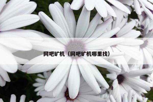 网吧矿机（网吧矿机哪里找）