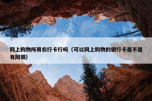 网上购物所用农行卡行吗（可以网上购物的银行卡是不是有网银）