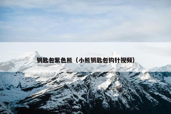 钥匙包紫色熊（小熊钥匙包钩针视频）