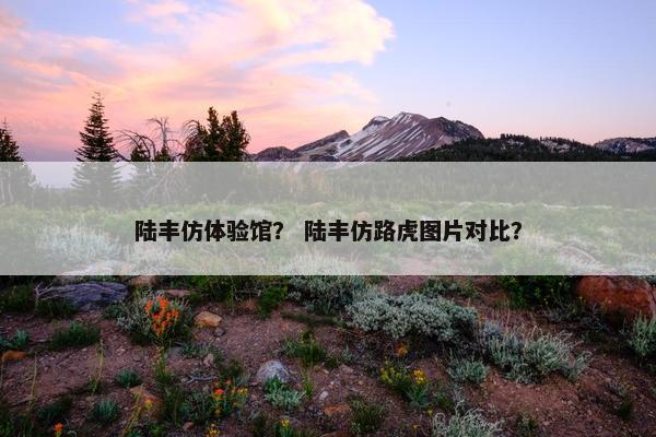 陆丰仿体验馆？ 陆丰仿路虎图片对比？