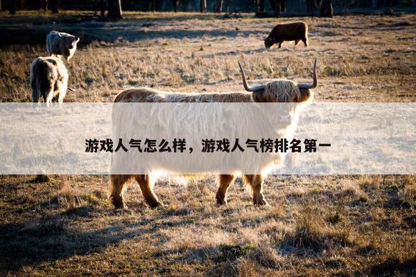 游戏人气怎么样，游戏人气榜排名第一