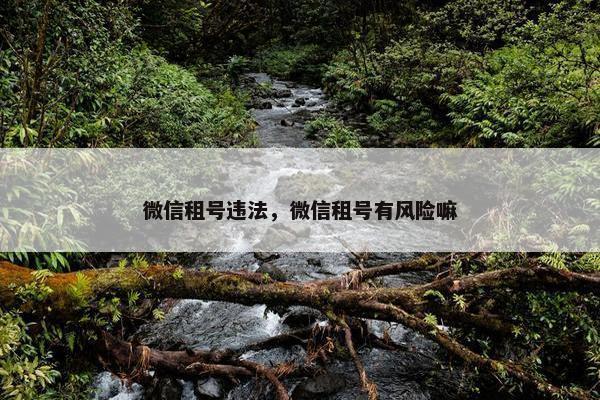 微信租号违法，微信租号有风险嘛