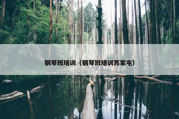 钢琴班培训（钢琴班培训苏家屯）