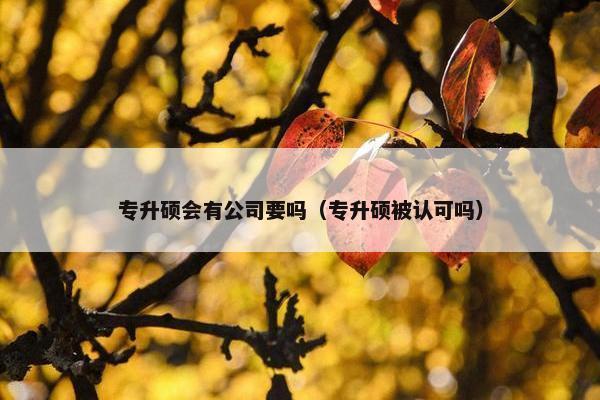 专升硕会有公司要吗（专升硕被认可吗）
