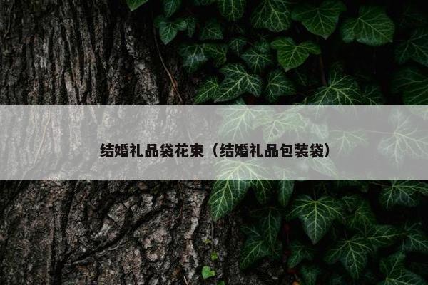 结婚礼品袋花束（结婚礼品包装袋）