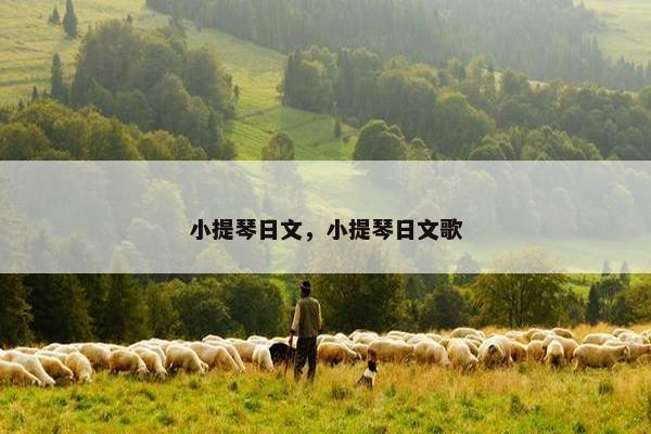 小提琴日文，小提琴日文歌