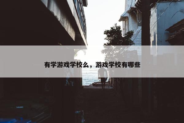 有学游戏学校么，游戏学校有哪些