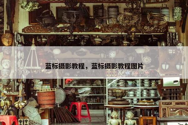 蓝标摄影教程，蓝标摄影教程图片