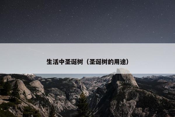 生活中圣诞树（圣诞树的用途）
