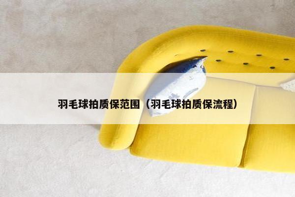 羽毛球拍质保范围（羽毛球拍质保流程）