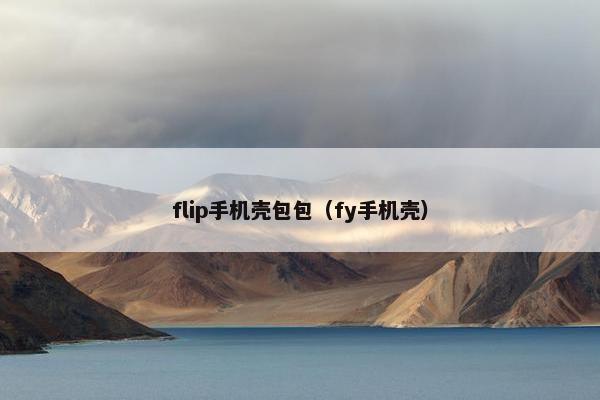 flip手机壳包包（fy手机壳）