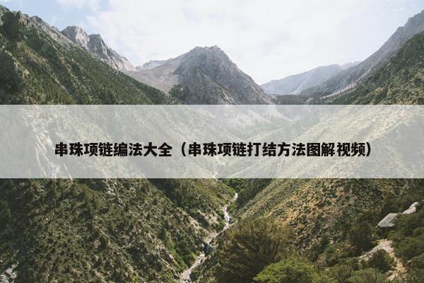 串珠项链编法大全（串珠项链打结方法图解视频）