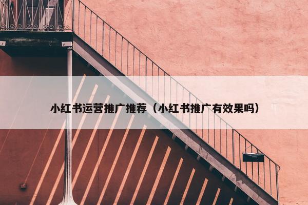 小红书运营推广推荐（小红书推广有效果吗）