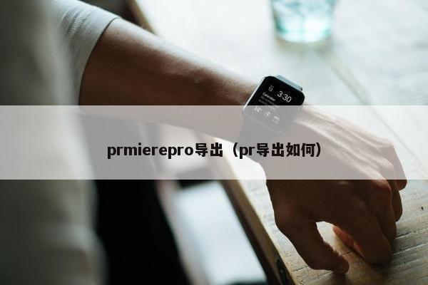 prmierepro导出（pr导出如何）