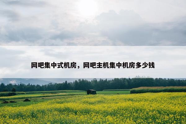 网吧集中式机房，网吧主机集中机房多少钱