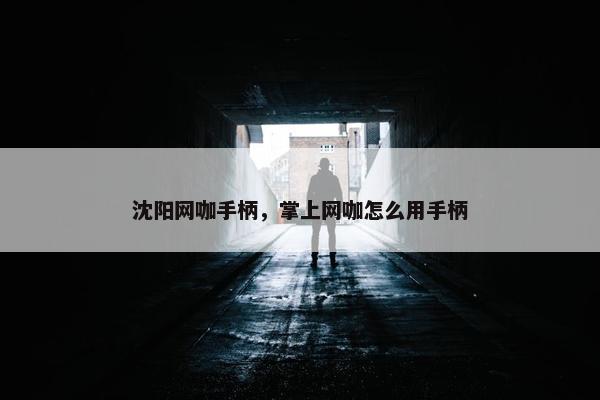 沈阳网咖手柄，掌上网咖怎么用手柄