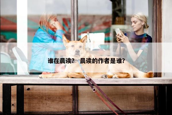 谁在晨读？ 晨读的作者是谁？