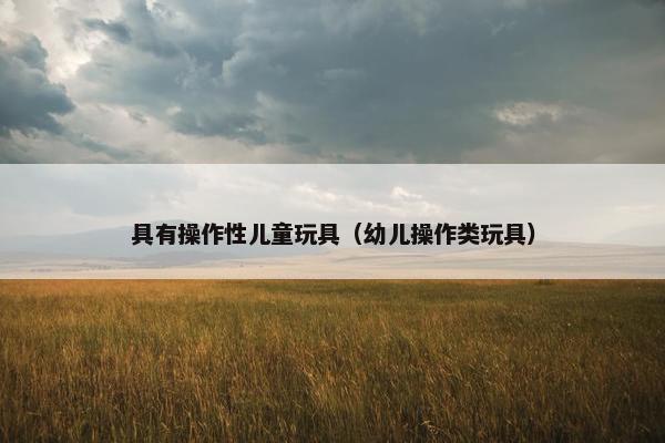 具有操作性儿童玩具（幼儿操作类玩具）