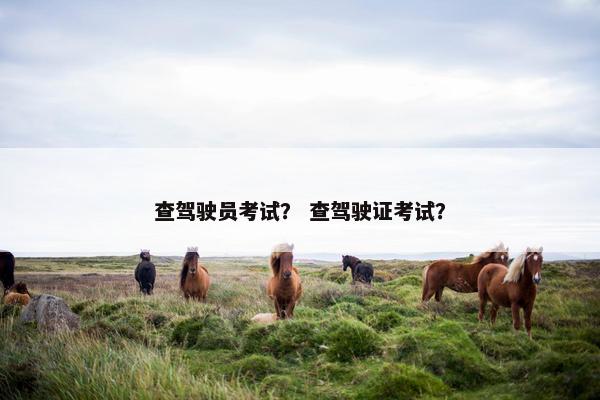 查驾驶员考试？ 查驾驶证考试？