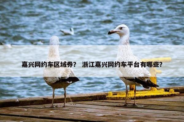 嘉兴网约车区域券？ 浙江嘉兴网约车平台有哪些？