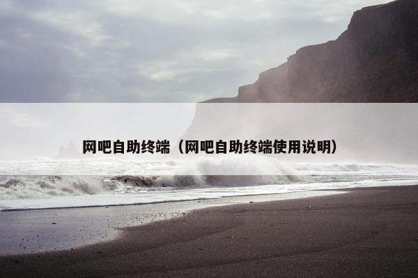 网吧自助终端（网吧自助终端使用说明）