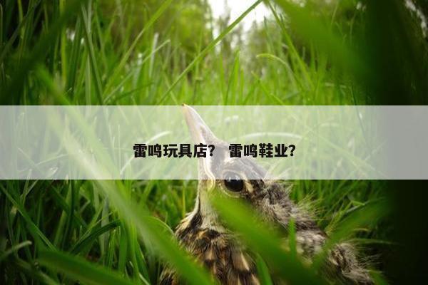 雷鸣玩具店？ 雷鸣鞋业？