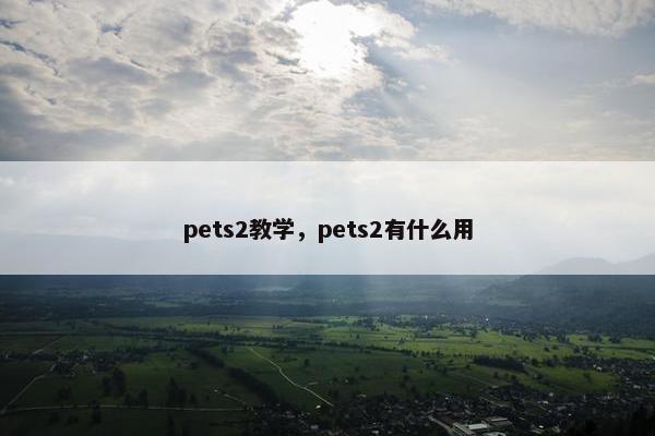 pets2教学，pets2有什么用