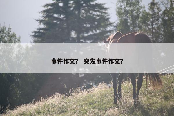 事件作文？ 突发事件作文？