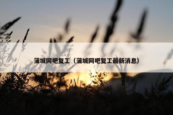 蒲城网吧复工（蒲城网吧复工最新消息）