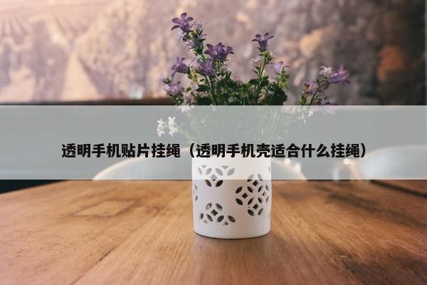 透明手机贴片挂绳（透明手机壳适合什么挂绳）