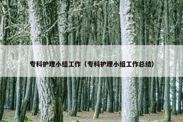 专科护理小组工作（专科护理小组工作总结）
