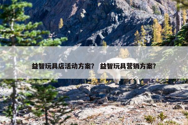 益智玩具店活动方案？ 益智玩具营销方案？