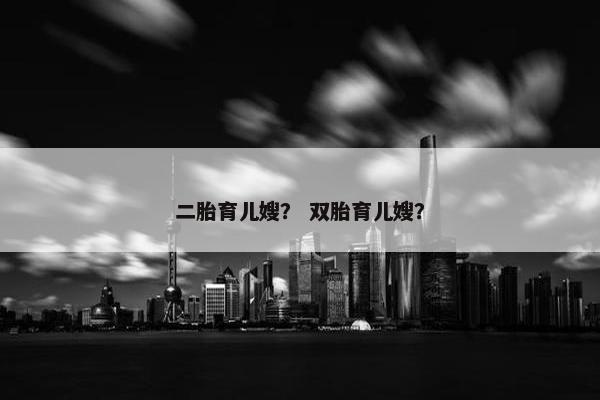 二胎育儿嫂？ 双胎育儿嫂？