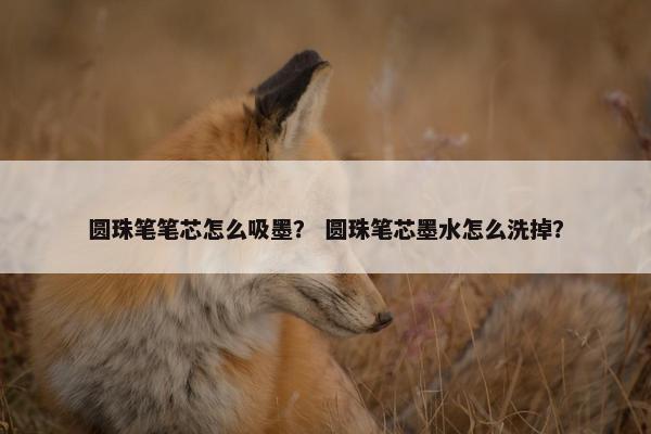 圆珠笔笔芯怎么吸墨？ 圆珠笔芯墨水怎么洗掉？