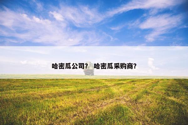 哈密瓜公司？ 哈密瓜采购商？