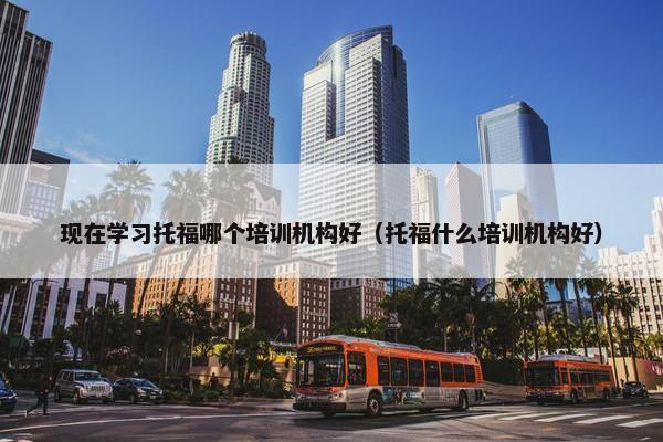 现在学习托福哪个培训机构好（托福什么培训机构好）
