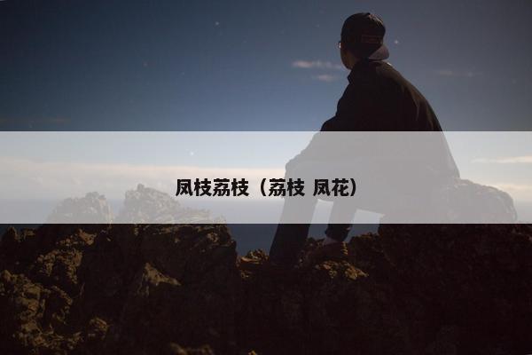 凤枝荔枝（荔枝 凤花）