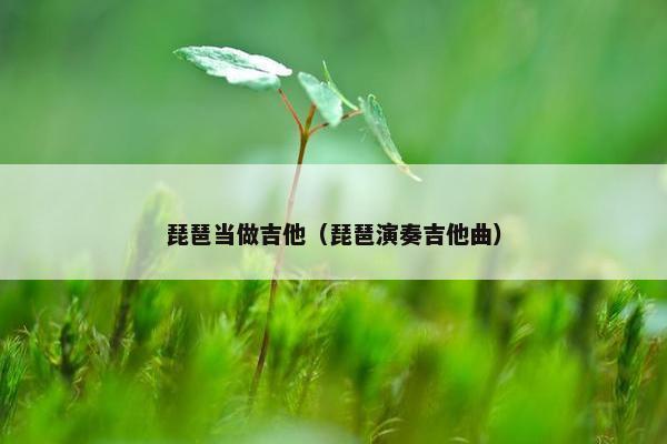 琵琶当做吉他（琵琶演奏吉他曲）