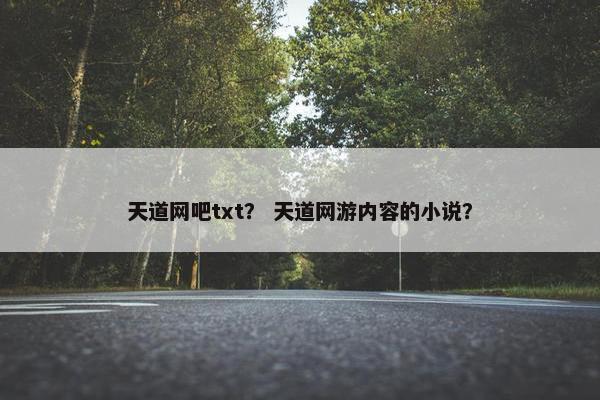 天道网吧txt？ 天道网游内容的小说？