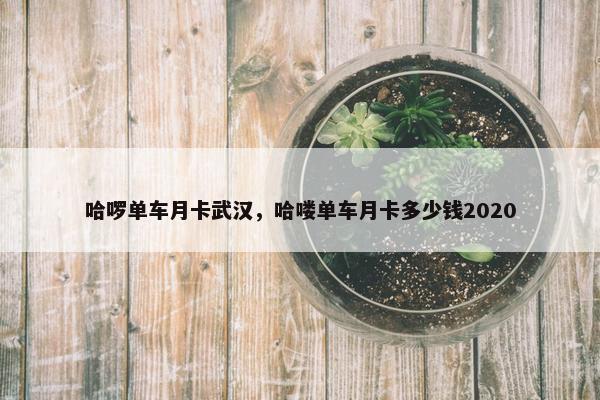哈啰单车月卡武汉，哈喽单车月卡多少钱2020