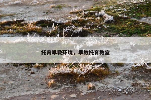 托育早教环境，早教托育教室
