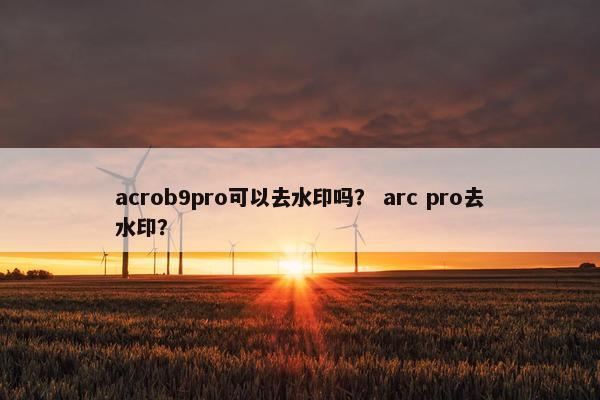 acrob9pro可以去水印吗？ arc pro去水印？