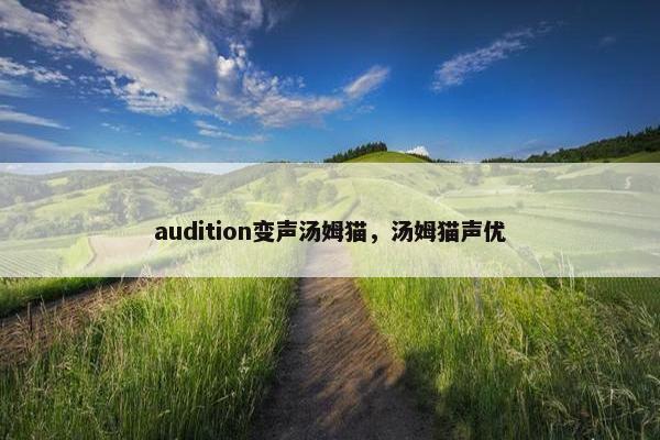 audition变声汤姆猫，汤姆猫声优